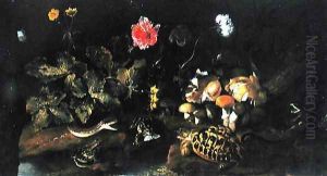 Still Life with a Snake, Frogs, Tortoise and Lizard by Paolo Porpora