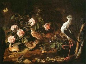 Still-Life with an Owl and an Ibis