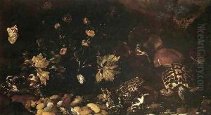 Still-Life with a Snake, Frogs, Tortoise and a Lizard by Paolo Porpora