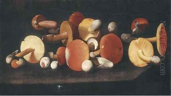 Boletus, russulas and other mushrooms on a ledge - view 1
