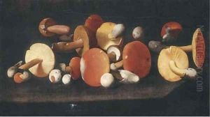 Boletus, russulas and other mushrooms on a ledge by Paolo Porpora