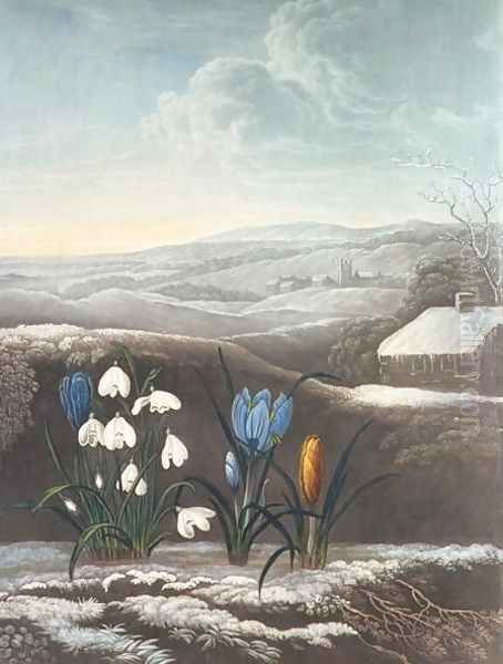 The Snowdrop, engraved by Ward, probably early 19th century - view 1