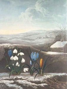 The Snowdrop, engraved by Ward, probably early 19th century by Abraham Pether