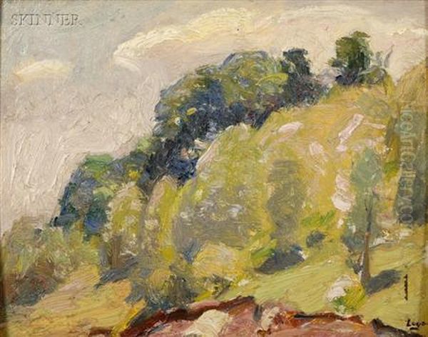Hillside Landscapes - view 1