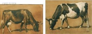 Studies Of Cows by Robert Henry Logan