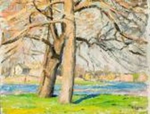 Landscapes