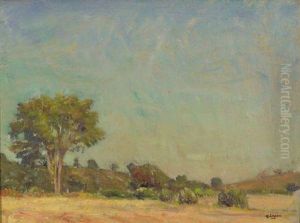 Spring Landscape Spring Landscape