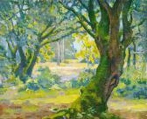 Trees In Summer by Robert Henry Logan