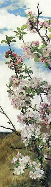 Apple Blossoms - view 1