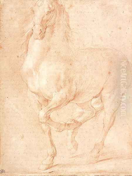 Study of a Horse - view 1