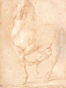 Study of a Horse by Pierre Puget