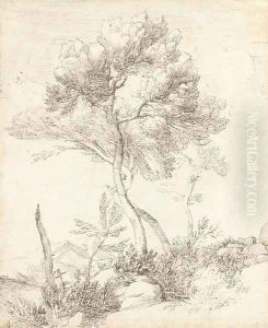 Two umbrella pines in a hilly landscape by Pierre Puget