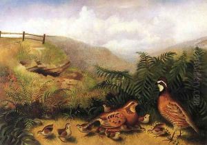 Landscape with Quail - Cock, Hen and Chickens by Rubens Peale