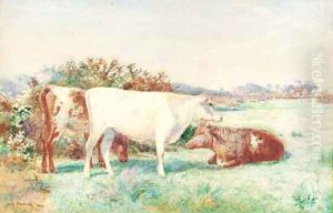 Cattle in a meadow by John Pedder