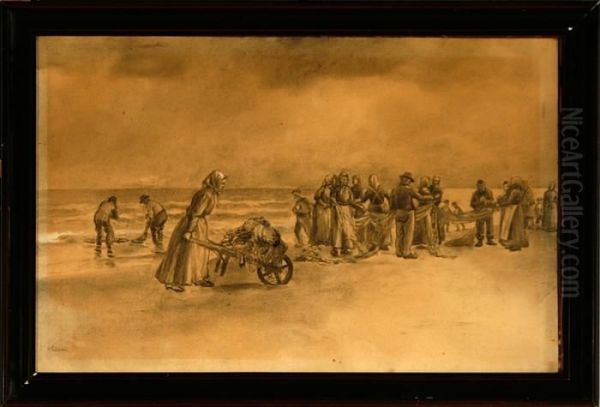 A Collection Of Studies - view 1