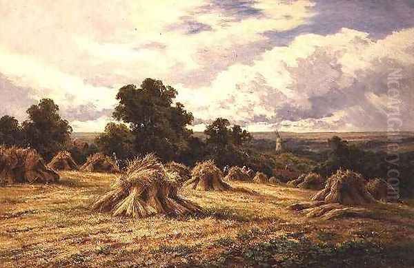 Harvested Field - view 1