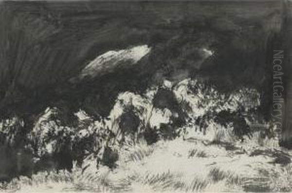 Mancha - view 1