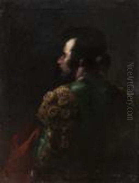 Torero - view 1