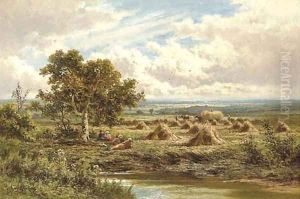 A Surrey Cornfield 2