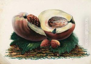 Albaricoque Y Fresa Albaricoque Y Fresa