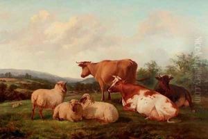 A hilltop pasture
