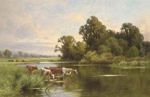 Evening on the banks of the Ouse