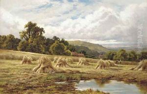 A Surrey cornfield, Betchworth