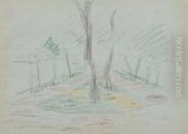 Arbres Dans Un Parc - view 1