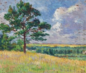 Paysage Pres De Mereville