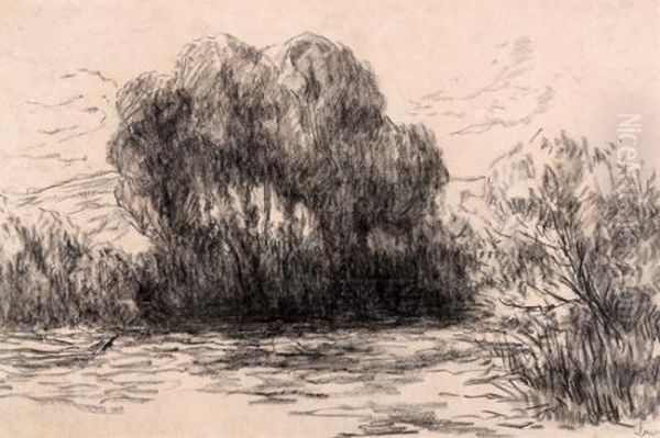 Landscape - view 1