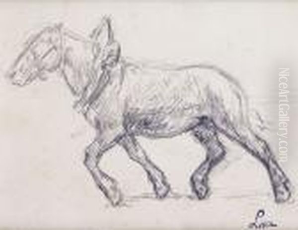 Le Cheval De Trait - view 1