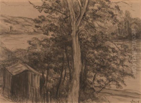 Arbre - view 1