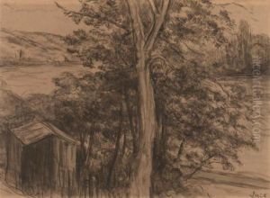 Arbre