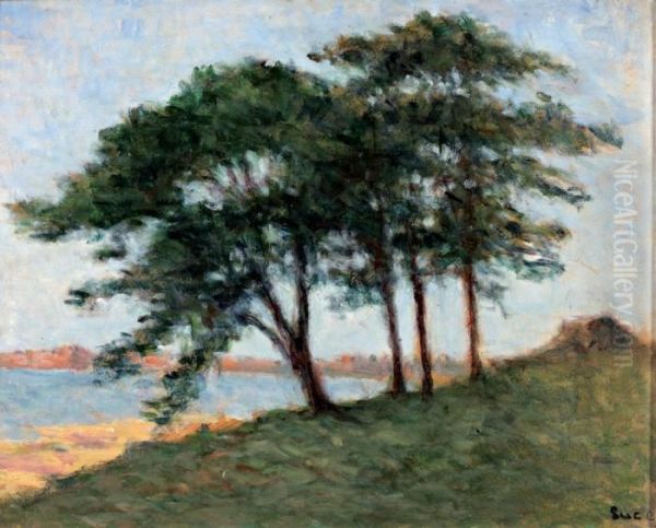 Paysage Du Midi - view 1