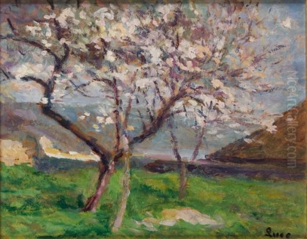 Arbres En Fleurs A Rolleboise - view 1