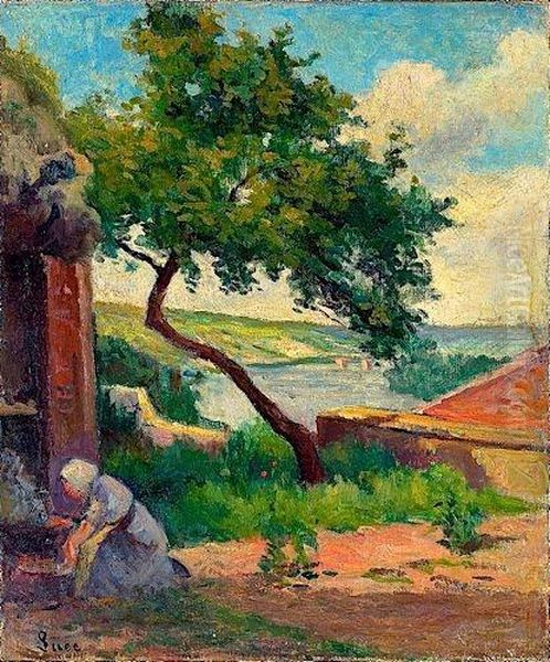 Rolleboise, L'abricotier - view 1