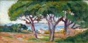 Saint-tropez, Pins Parasols, 1903
Huile Sur Papier Maroufle Sur Toile by Maximilien Luce