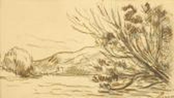 Paysage A L'arbre Penche - view 1