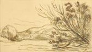 Paysage A L'arbre Penche