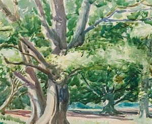 Tree Study; Pastoral Landscape (2) by Maximilien Luce