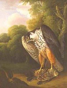 A Hobby Hawk and Prey shot at Buxton, 1812