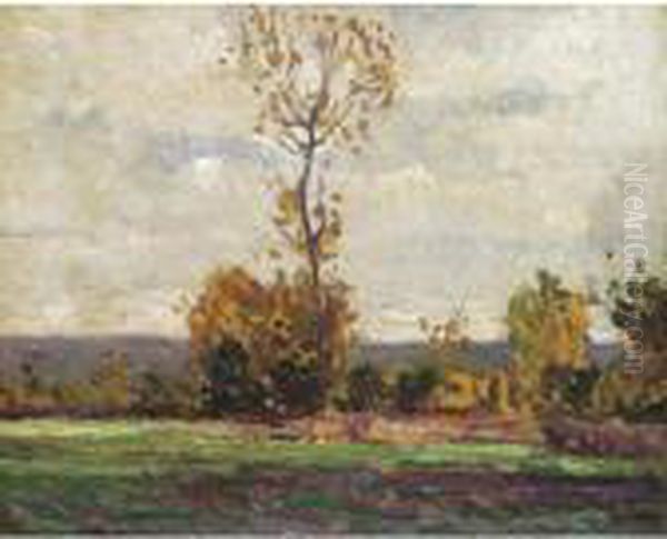 Paysage - view 1