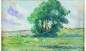 Prairie Au Bouquet D'arbres