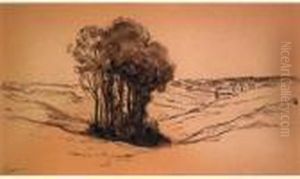 Arbre Dans Un Paysage Arbre Dans Un Paysage