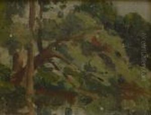 Etude D'arbres