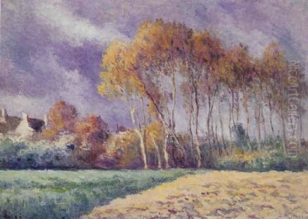 Maisons Dans Les Arbres - view 1