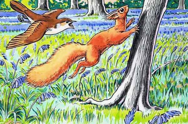 Little Red Squirrel 13 - view 1