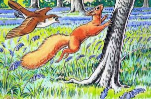 Little Red Squirrel 13 by Harry M. Pettit
