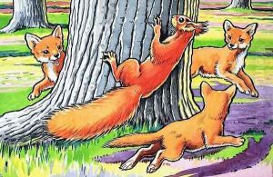 Little Red Squirrel 6