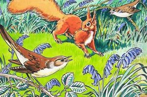 Little Red Squirrel 9 by Harry M. Pettit